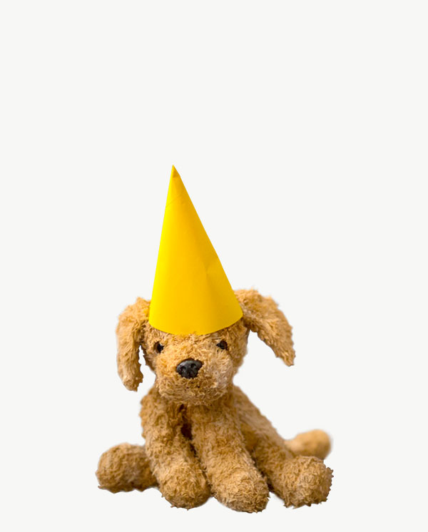 Party hat - Slika 2